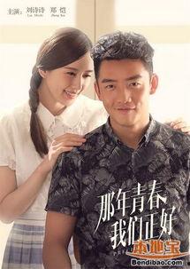 那年我们青春正好电视剧,青春岁月里的梦想与成长