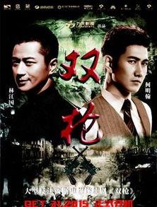 双枪电视剧演员表,揭秘电视剧演员阵容背后的精彩故事