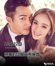 娱乐圈吃瓜测试