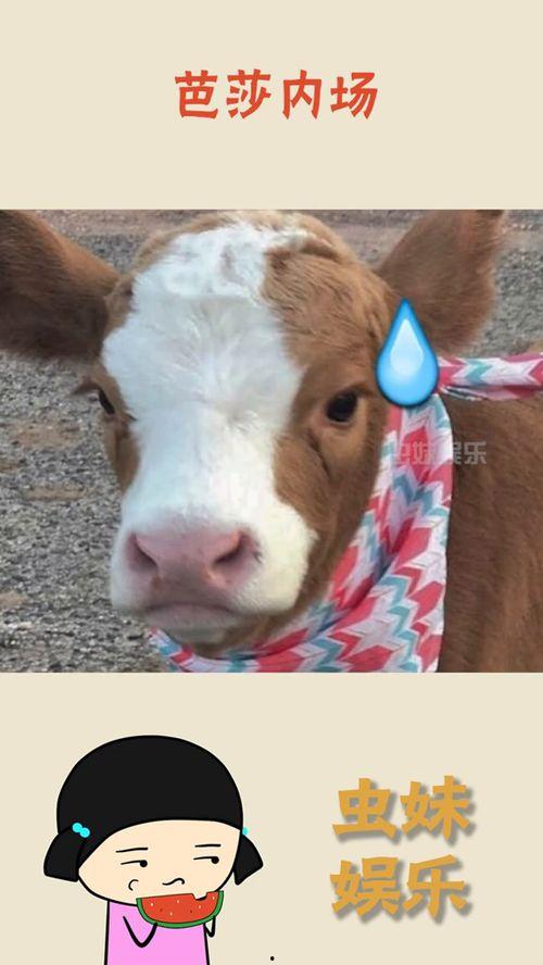 抖音吃瓜娱乐是真的吗